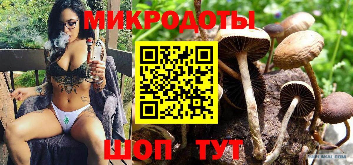 Нефтекамск  Псилоцибиновые грибы мицелий  Псилоцибиновые грибы Cubensis  Вход с VPN 